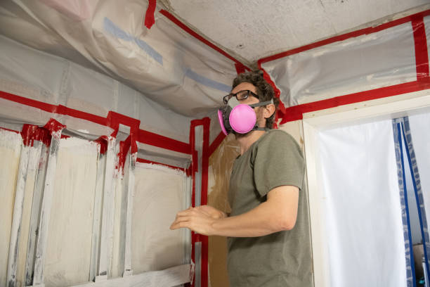 Trusted Lambert, MS Mold Removal Experts